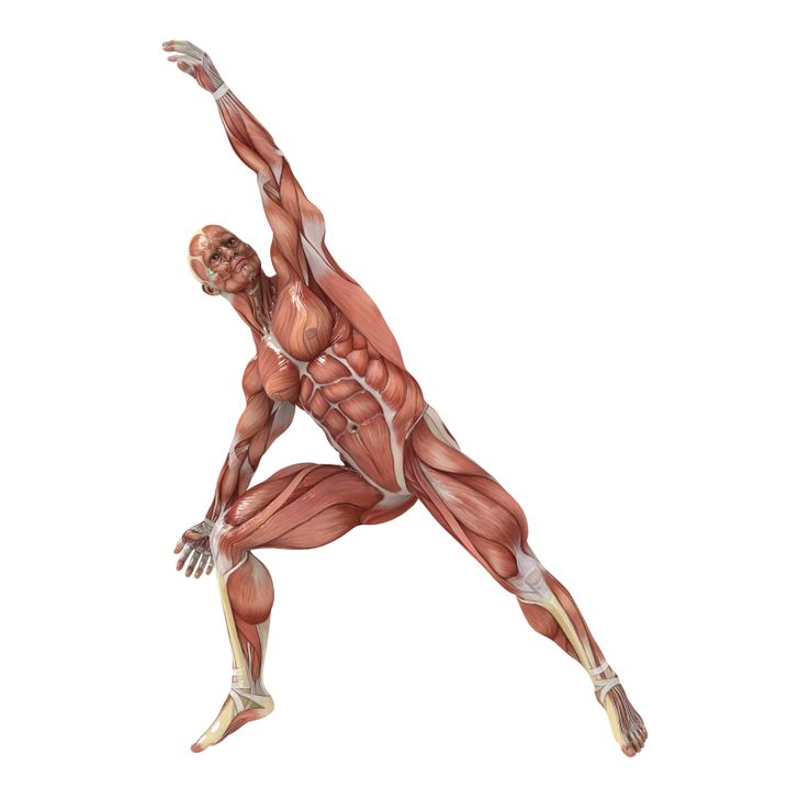 Achieve Cat-Like Flexibility in 4 Weeks