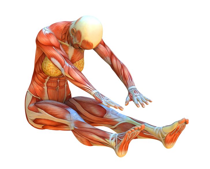 Achieve Cat-Like Flexibility in 4 Weeks