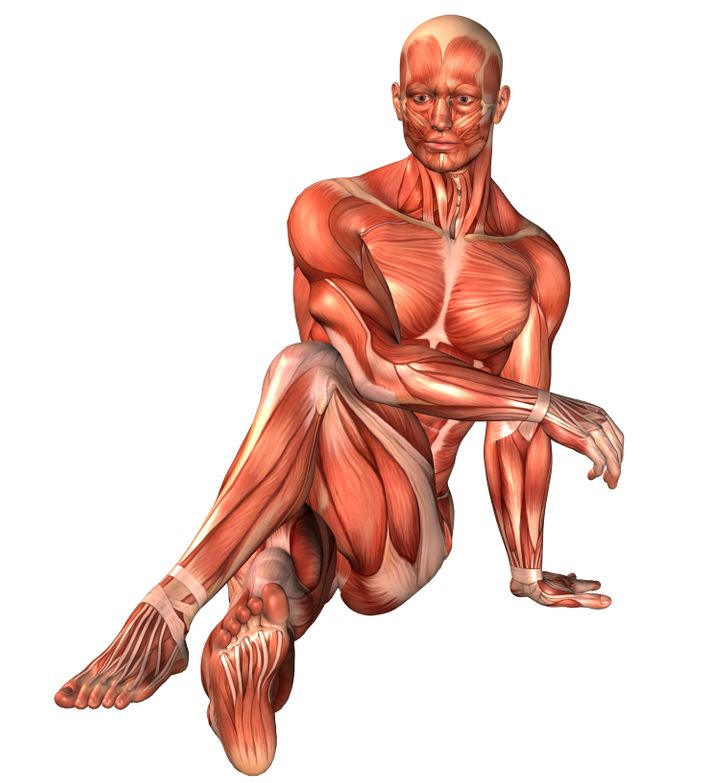 Achieve Cat-Like Flexibility in 4 Weeks